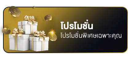 promotion - โปรโมชั่น